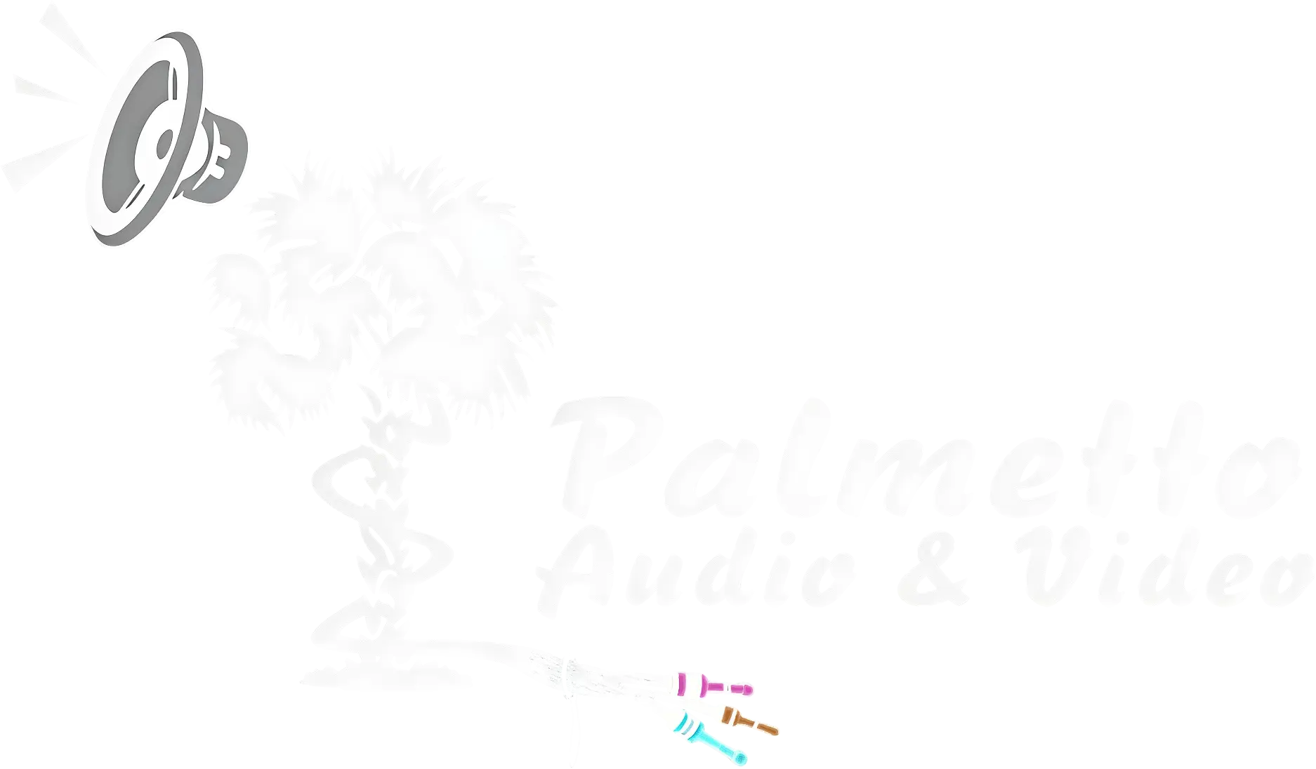 Palmetto Audio & Video logo